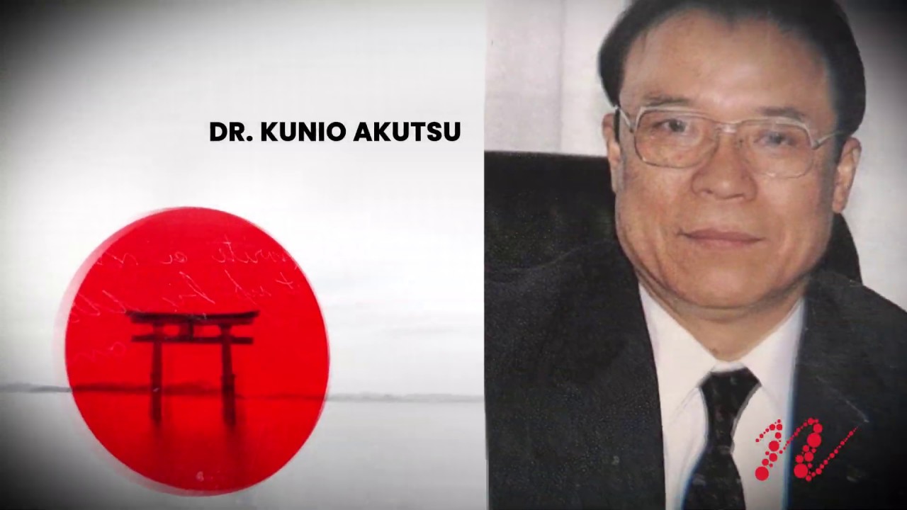 Nipponflex | MFP® | Magnetic FIR Power | (Pt-BR)