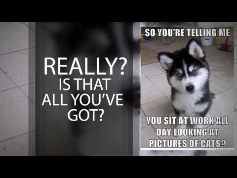 REALLY?! IS THAT ALL YOU'VE GOT?! (TGIM S9 E10)