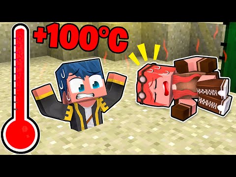 STEF E PHERE SONO MORTI DI CALDO SU MINECRAFT!