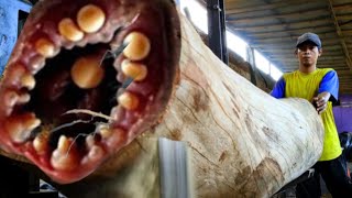 Download lagu Unexpected Surprise behind rare the giant logs in this sawmill mp3