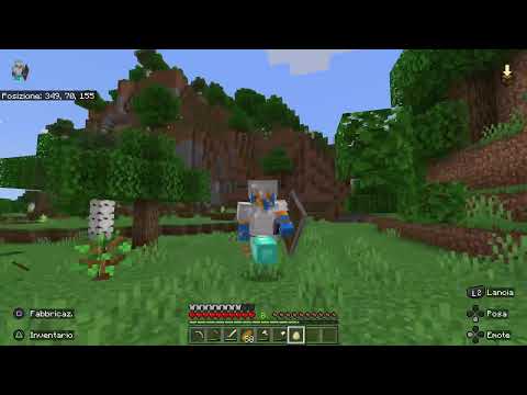 Minecraft gioco insieme a voi