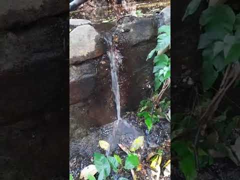 VENTA FINCA  16  MANZANAS RUTA PANORÁMICA  LA PAZ