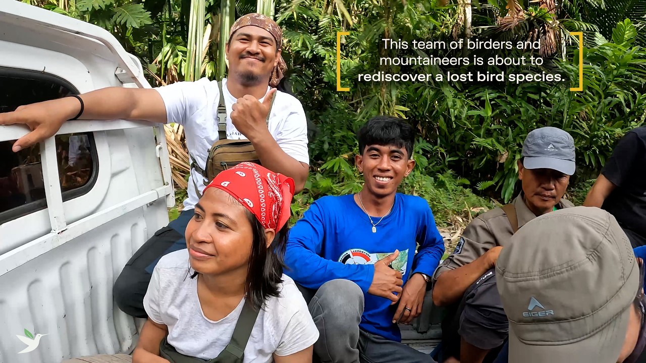 After a Century With Only One Sighting, Indonesia's Blue-fronted Lorikeet Found in Unexplored Forest - YouTube