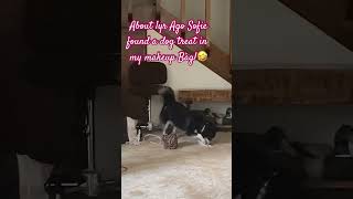 Sofia The Pink Panther by Henry Mancini