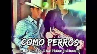 Como Perros- Ariel Camacho Y Los Plebes Del Rancho (En Vivo) 2015