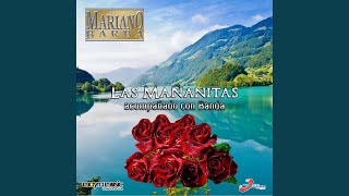 Las Mañanitas Acompañado Con Banda Lyrics English Translation