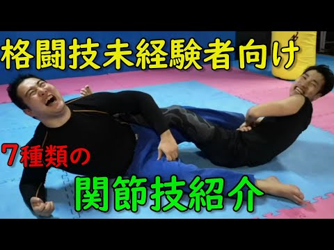 7種類の関節技紹介 格闘技未経験者さん向け  超初心者向け 新潟市