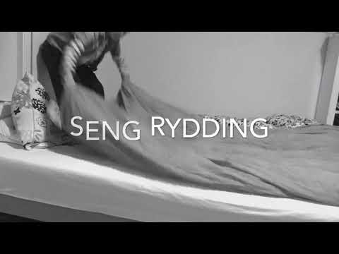 Seng rydding