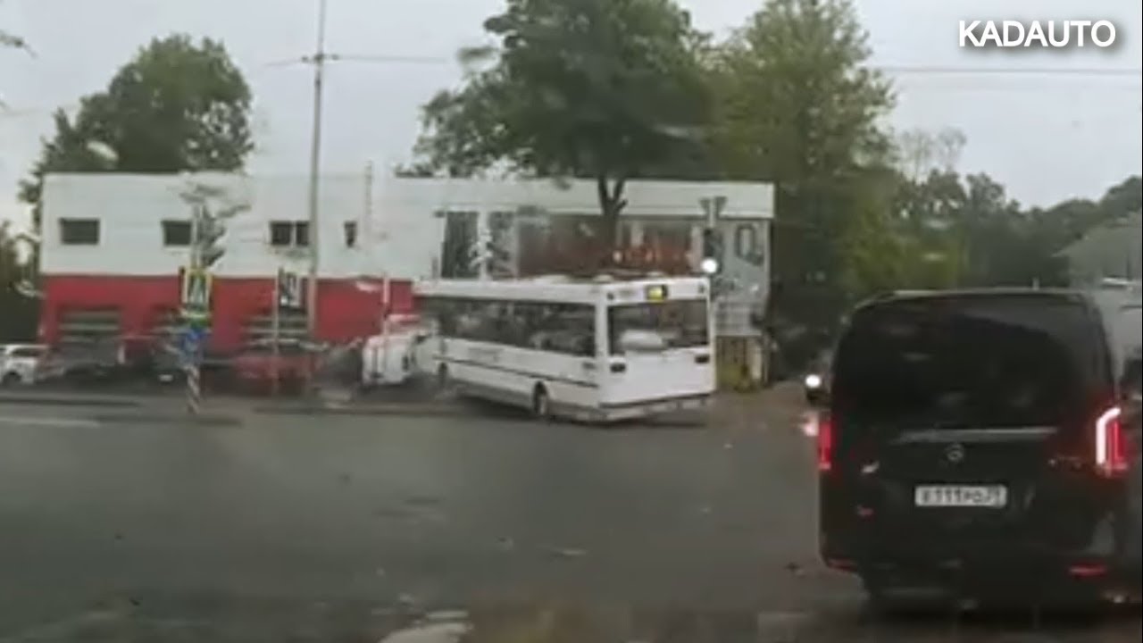 Автобус врезался в парковку дилерского центра Citroen в Калинграде