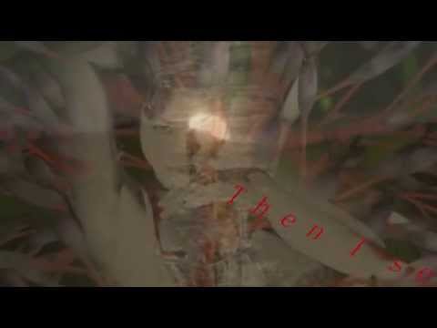 Thumbnail for *The Lady in The Garden* - A Song for *Julie Newmar*-.
