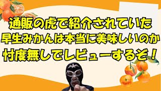 【令和の虎】今日は噂のみかんを忖度無しでレビューするぞ！【通販の虎】