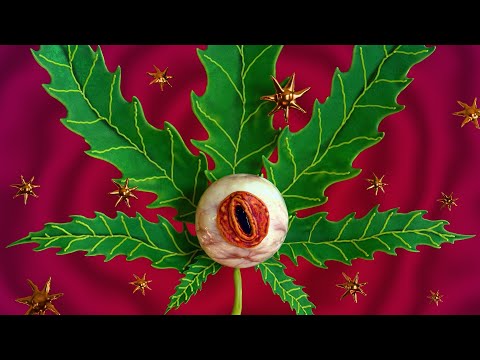 CYCLOPS - BLUNT SONG