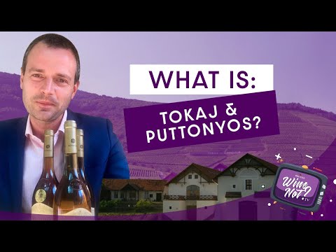 Wine Not TV: What is Tokaj?