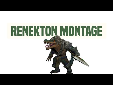RENEKTON MONTAGE - 9.14