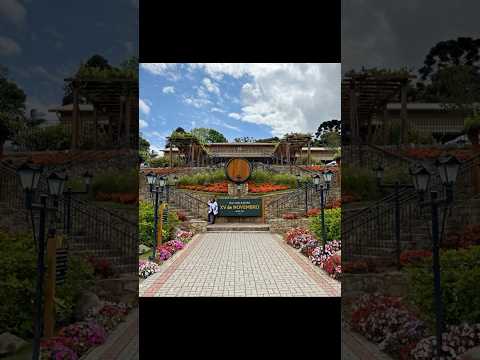 SÃO ROQUE / SÃO PAULO