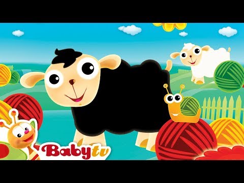 Czarna Owieczka | BabyTV Polski