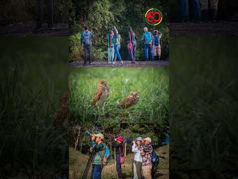 ¡Lo que sucede en Cumaral en 60 segundos!⏱️