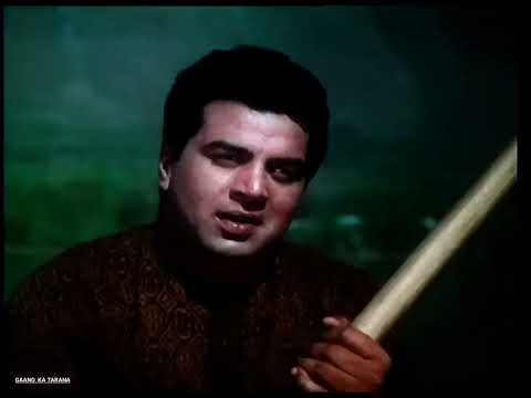 दिल ने फिर याद किया /  Mohammed Rafi, Mukesh, Suman Kalyanpur / Dil Ne Phir Yaad Kiya (1966)