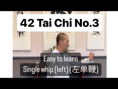 42 Tai Chi No.3 Easy to learn details and transition to single whip (dan bian单鞭)#taichi #taiji #太极拳