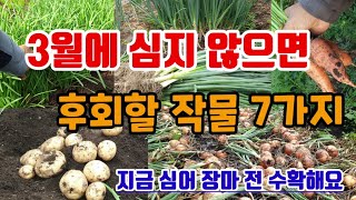 3월에 심지 않으면 후회할 작물 7가지 지금 심어 장마전 수확해요.