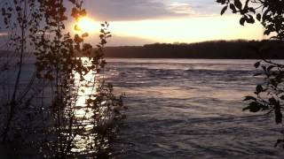 preview picture of video 'Donau Hochwasser - Bad Deutsch Altenburg 10/2014'