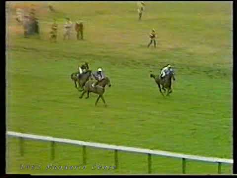 1982 Mandarin Chase Night Nurse