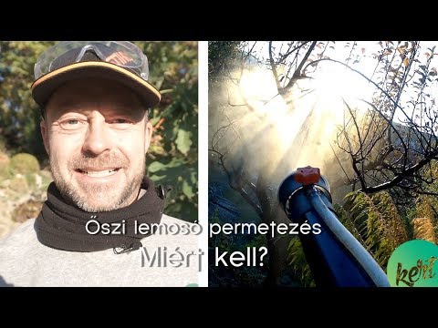 pyatigorsk dohányzás kódolása