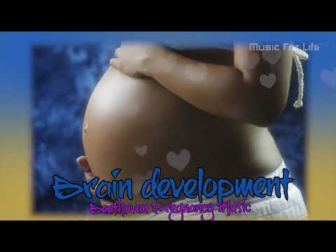 Pregnancy Music | Monthly Development for Babies | Brain Development. #3