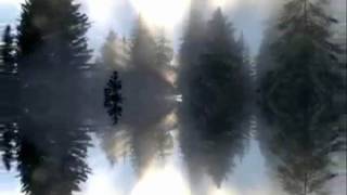 Filteria - Sky Input