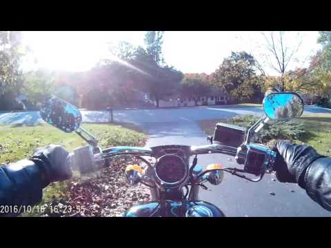 Hardcore Pooh Bah The Harlley