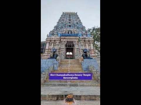 #History of Bannerghatta, Bangalore: From Ancient Forests to Urban Green Haven