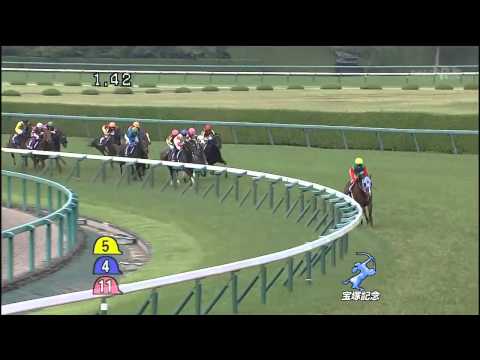 2013 第54回 宝塚記念(GⅠ) ゴールドシップV
