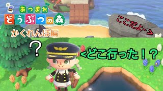 【あつまれどうぶつの森】フレンドと自分の島でかくれんぼした結果難しすぎた