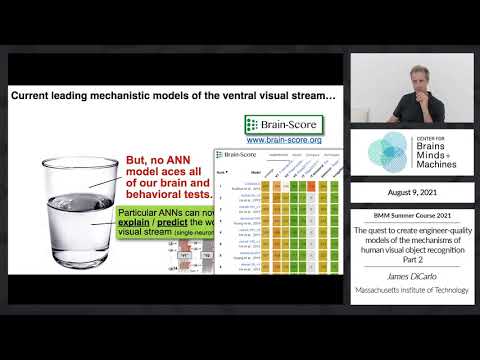 The quest to create engineer-quality models of the mechanisms of human visual object recognition Pt2