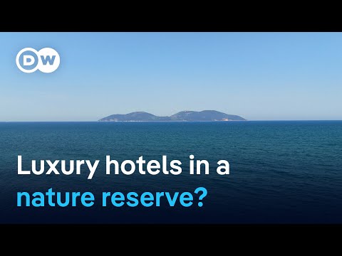 How Jared Kushner wants to build a luxury resort in an Albanian nature reserve | DW News