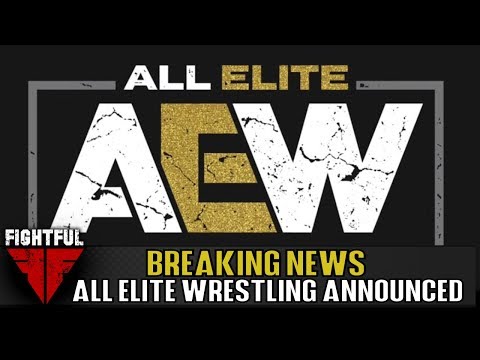 Report: AEW Negotiating With Time Warner; Chris Jericho And Jim Ross To Be Involved