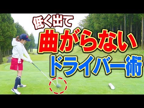 ギプスコアの旗