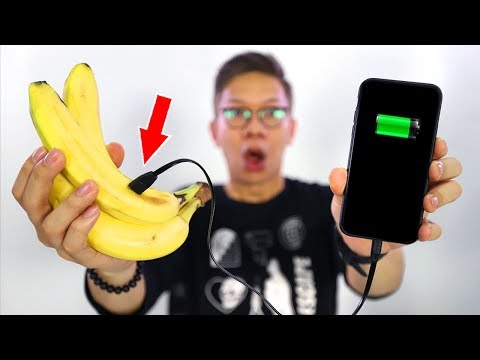 download lagu mp3 mp4 Cara Charge Hp Dengan Pisang, download lagu Cara Charge Hp Dengan Pisang gratis, unduh video klip Cara Charge Hp Dengan Pisang