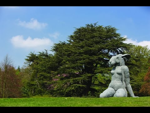 TOP 10. Best Tourist Attractions in Wakefield, England