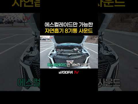 그냥...괴물 자동차..