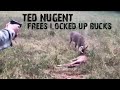 Ted Nugent Frees Two Locked Up Bucks!
