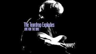 The Teardrop Explodes - The Culture Bunker Live in Manchester