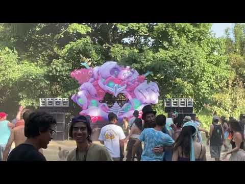 Saikozaurus - Sopa de Cerebro 2023