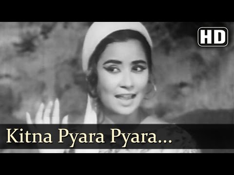 Naunihal - Kitna Pyara Pyara - Krishnna Kaale - Chorus