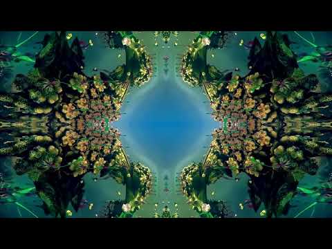 Jon Anderson - Olias of Sunhillow (Visualizations)