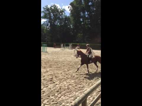 CSO ERSTEIN - PREPA 90 - SF