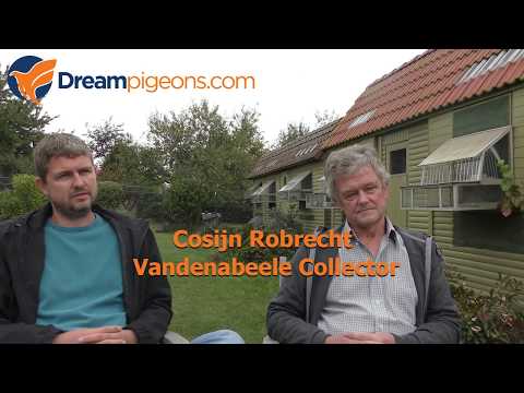 Video Robrecht Cosijn - Hokvoorstelling