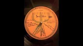 Deep Forest - Sweet Lullaby (Round The World Mix)