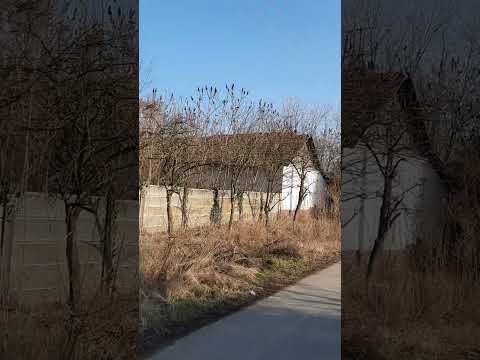 STRADĂ CU TOATE CASELE DE VÂNZARE