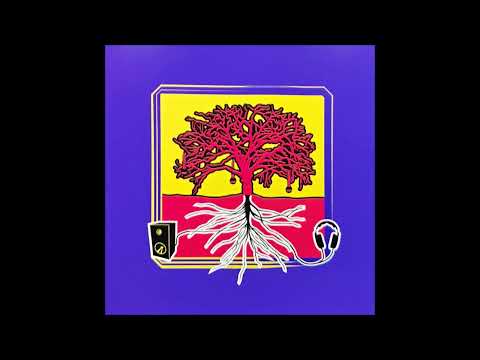 Track 1 - Sok